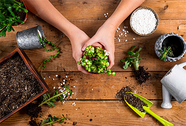 istanbul bahçe düzenleme