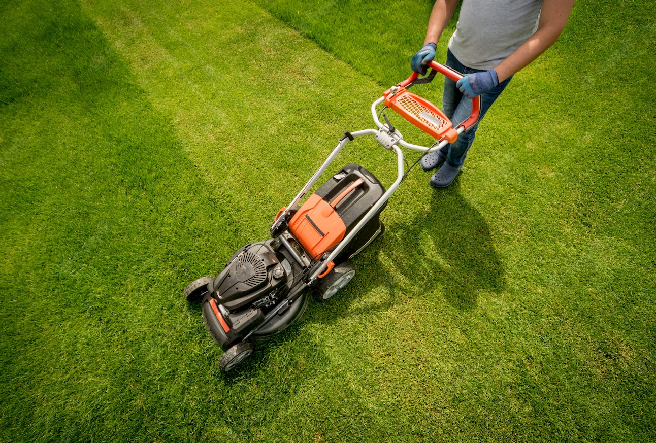 istanbul hazır çim rulo