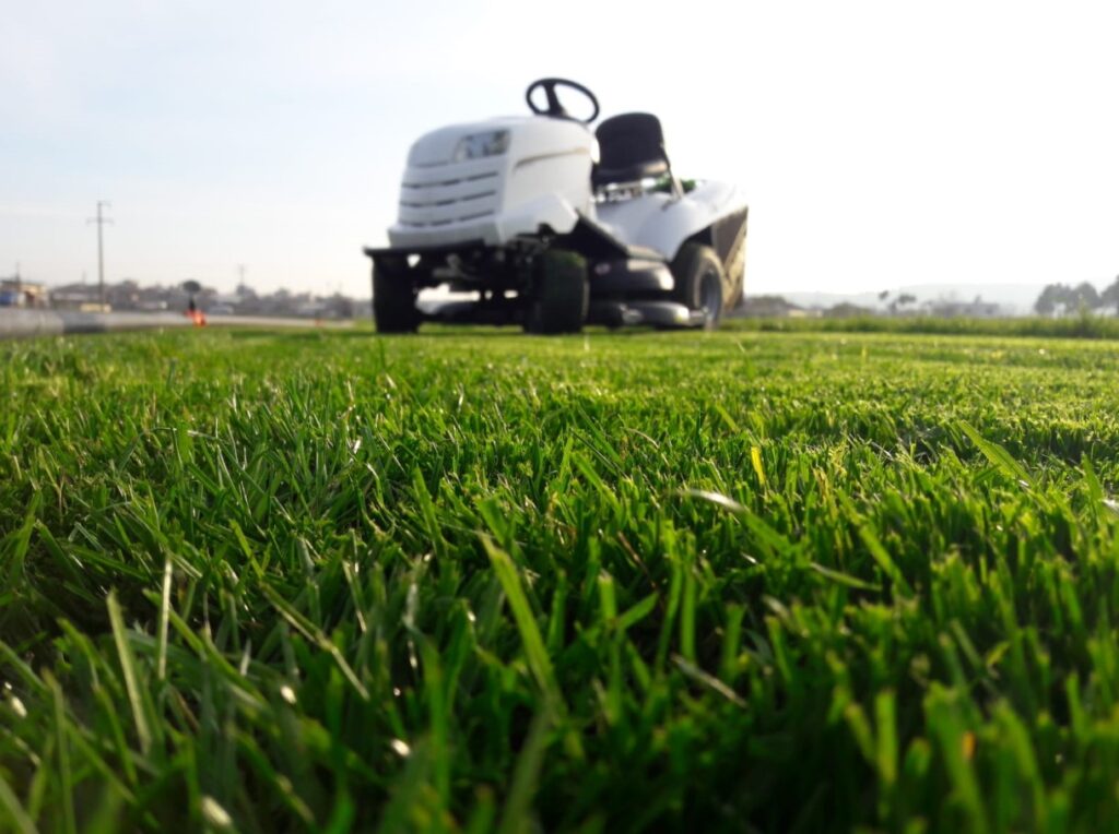 İstanbul Hazır Çim